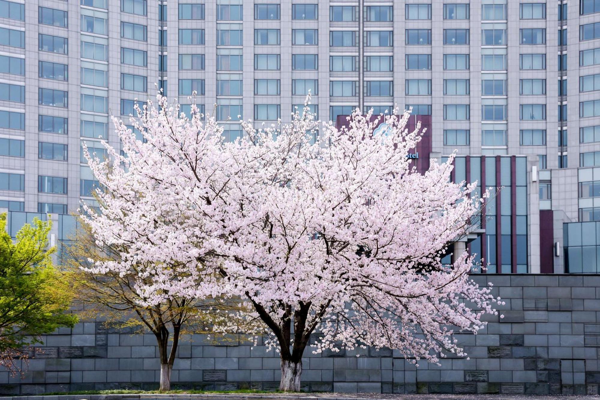 Kempinski Hotel Suzhou Suzhou  Exterior foto